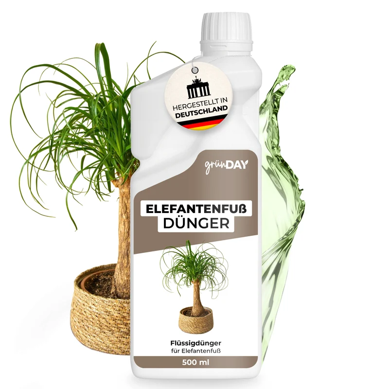 Elefantenfuß-Flüssigdünger 500 ml