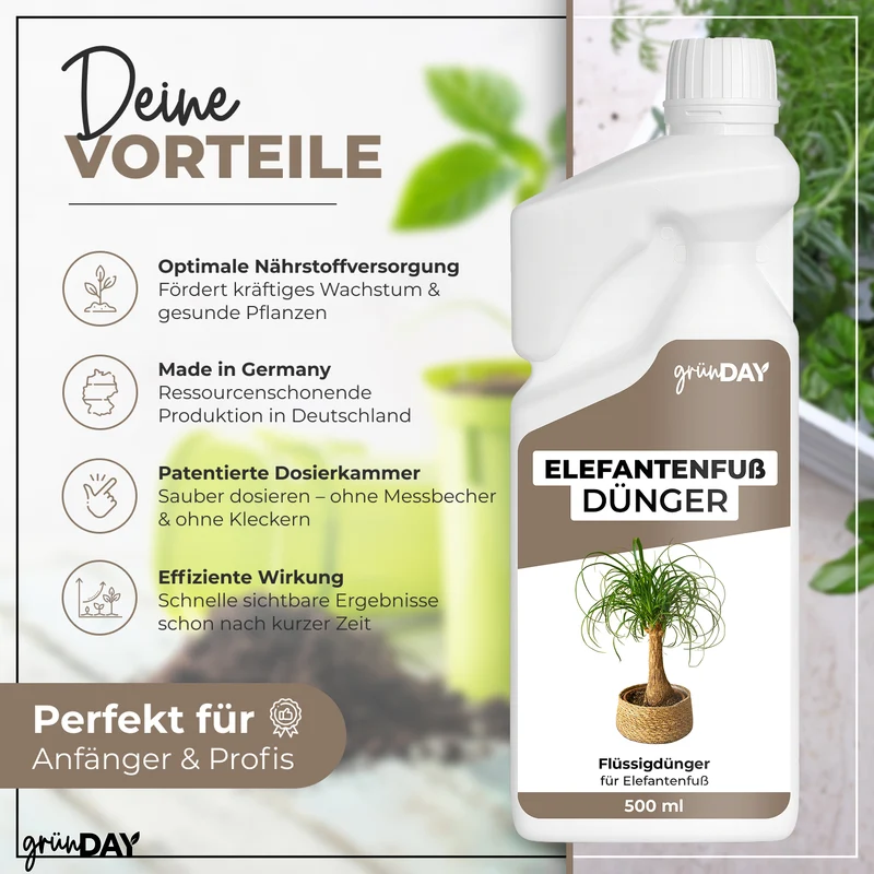 Elefantenfuß-Flüssigdünger 500 ml
