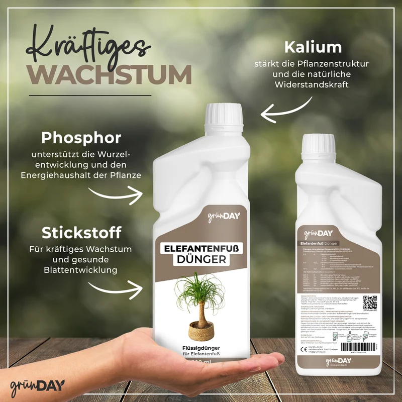 Elefantenfuß-Flüssigdünger 500 ml