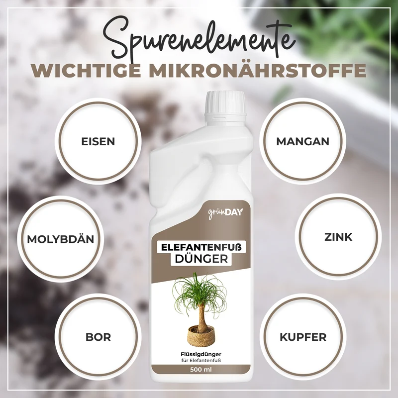 Elefantenfuß-Flüssigdünger 500 ml