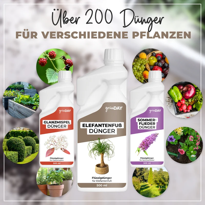 Elefantenfuß-Flüssigdünger 500 ml