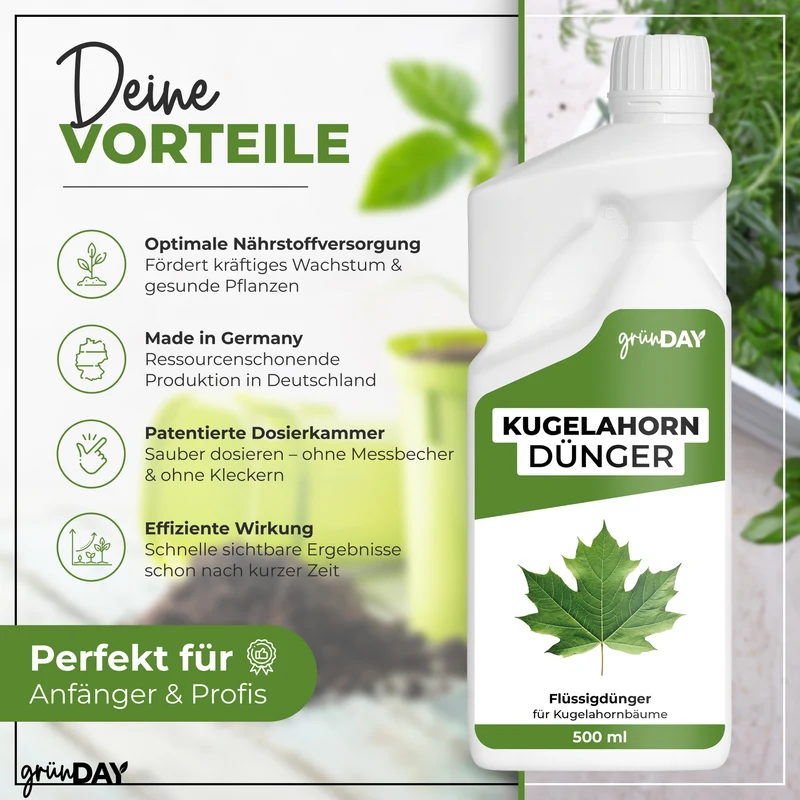 Kugelahorn-Flüssigdünger 500 ml