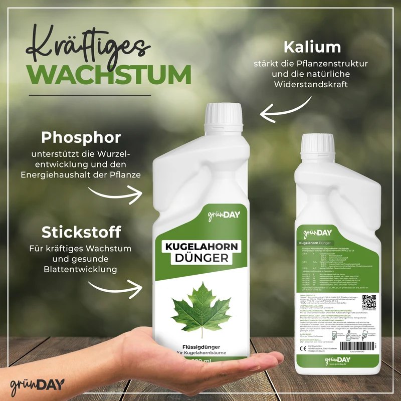 Kugelahorn-Flüssigdünger 500 ml