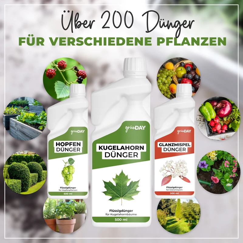 Kugelahorn-Flüssigdünger 500 ml