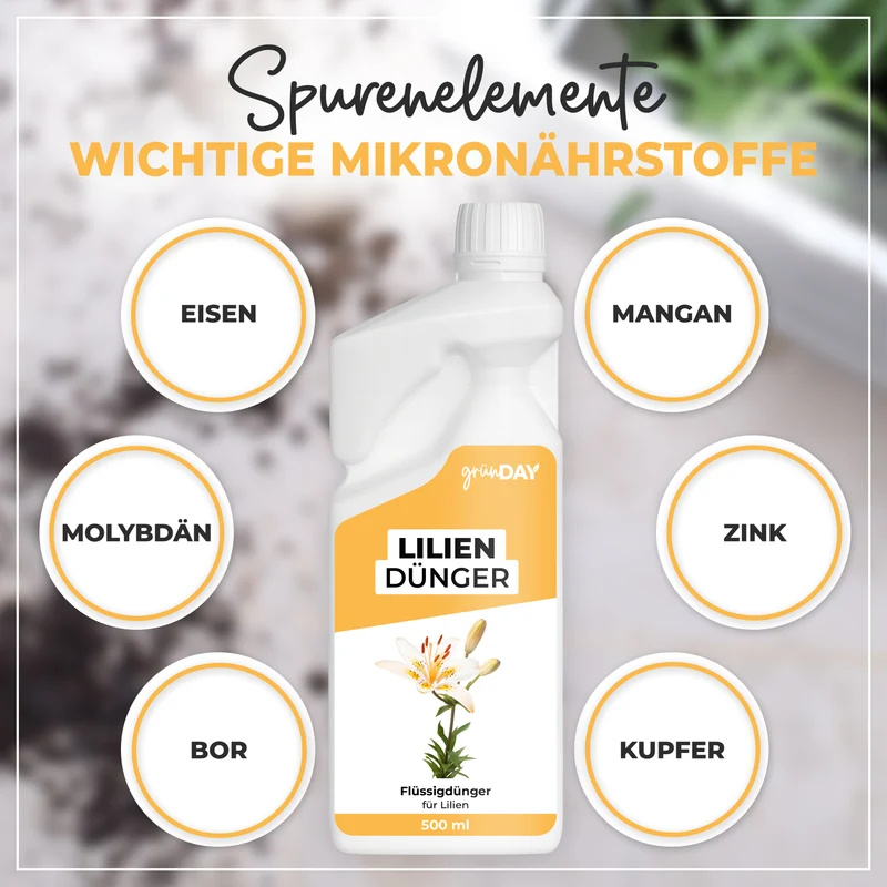 Lilien-Flüssigdünger 500 ml