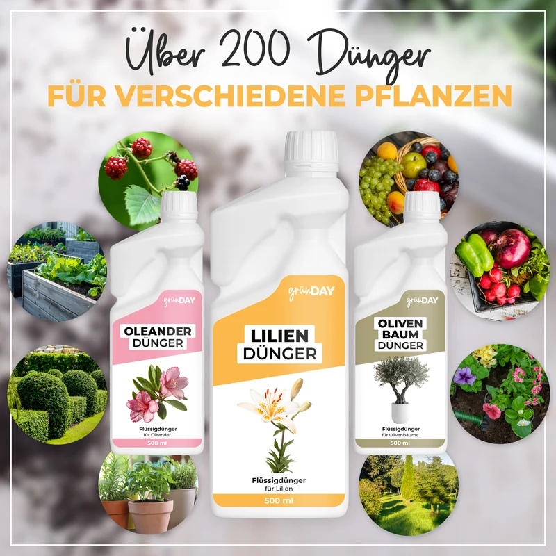 Lilien-Flüssigdünger 500 ml