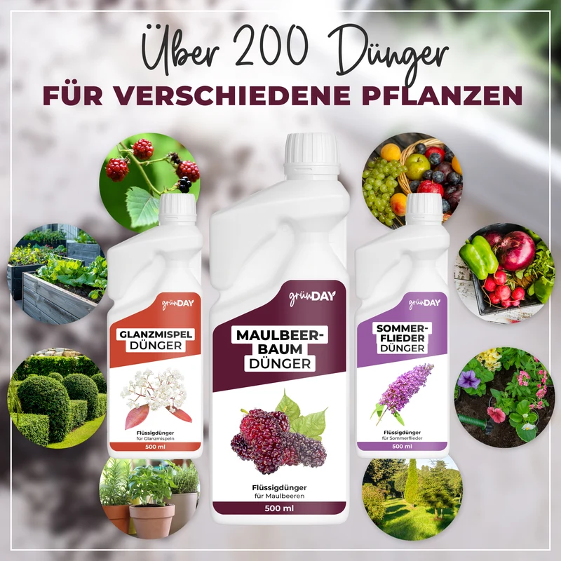 Maulbeerbaum-Flüssigdünger 500 ml