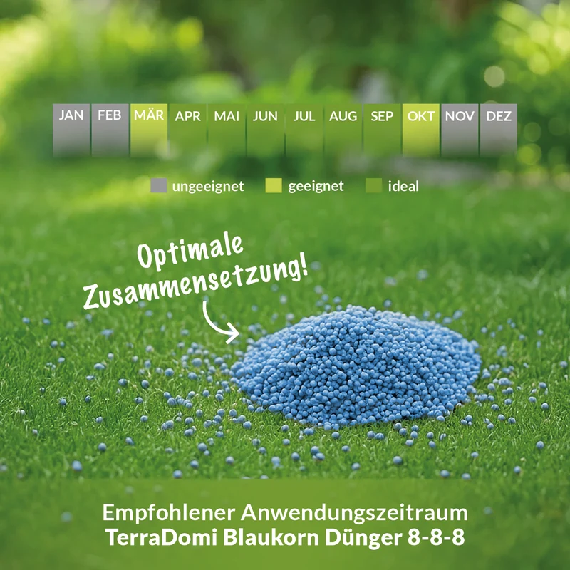 Volldünger Blaukorn Classic 8-8-8