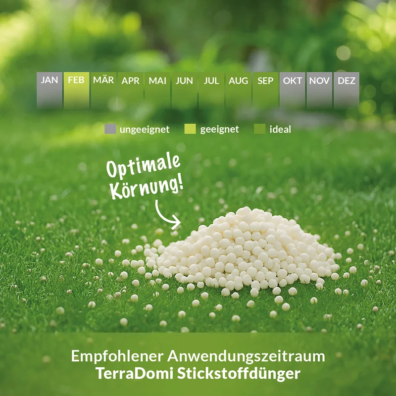 Ammonsulfatsalpeter N26 Stickstoff-Dünger