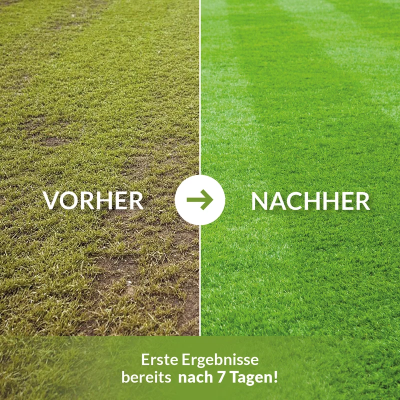 Volldünger NPK 15-15-15 Frühjahr, Sommer und Herbst
