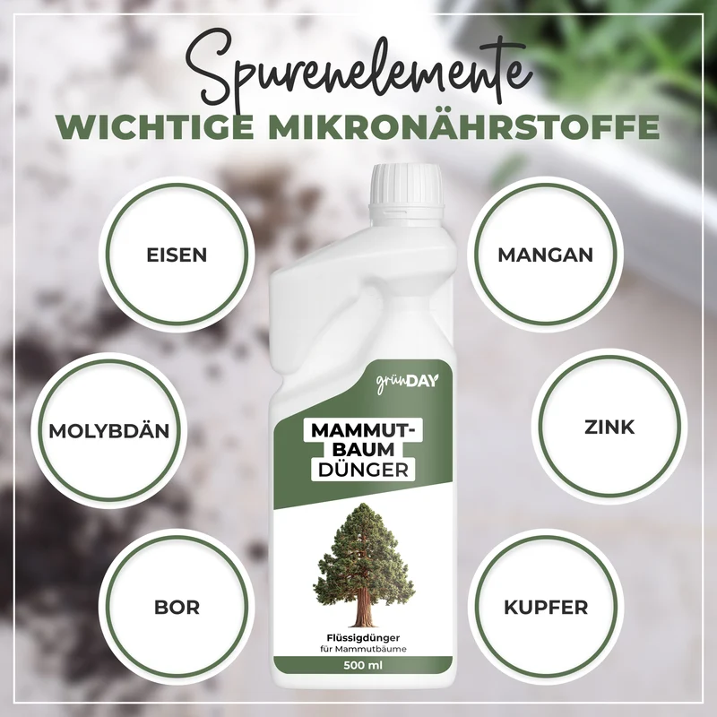 Mammutbaum-Flüssigdünger 500 ml