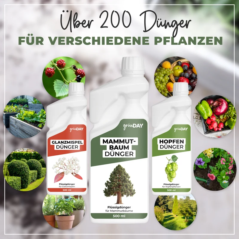 Mammutbaum-Flüssigdünger 500 ml