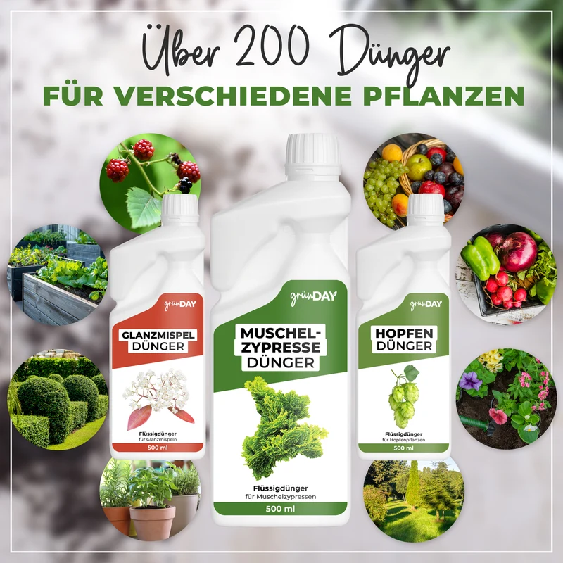 Muschelzypresse-Flüssigdünger 500 ml