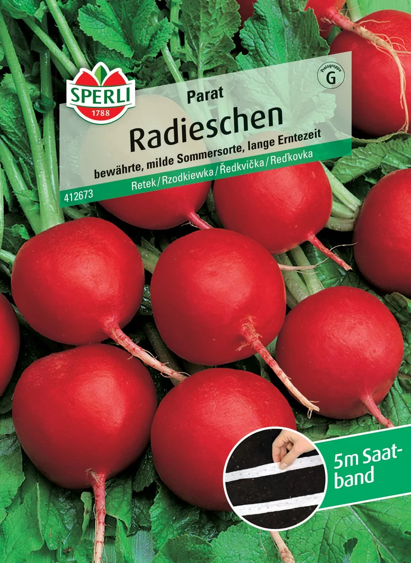 Radieschensamen Parat, Saatband