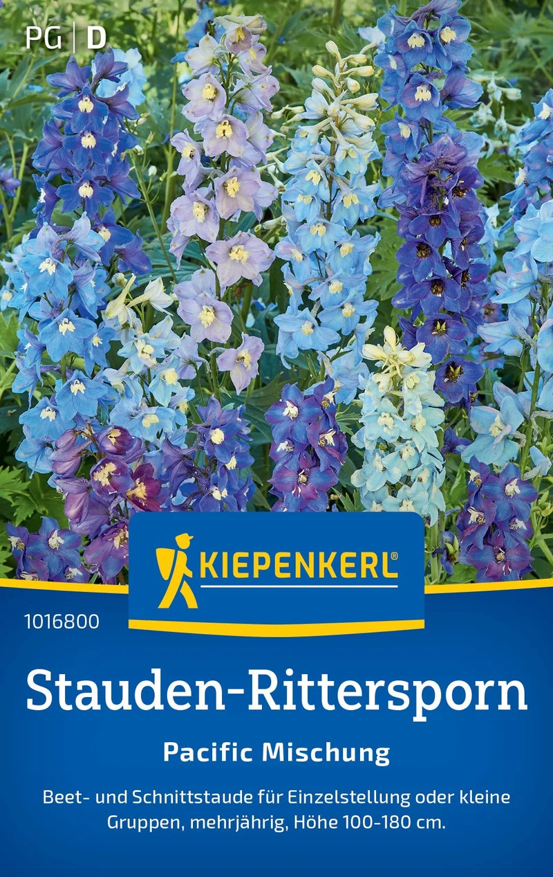 Stauden-Ritterspornsamen Pacific Mischung
