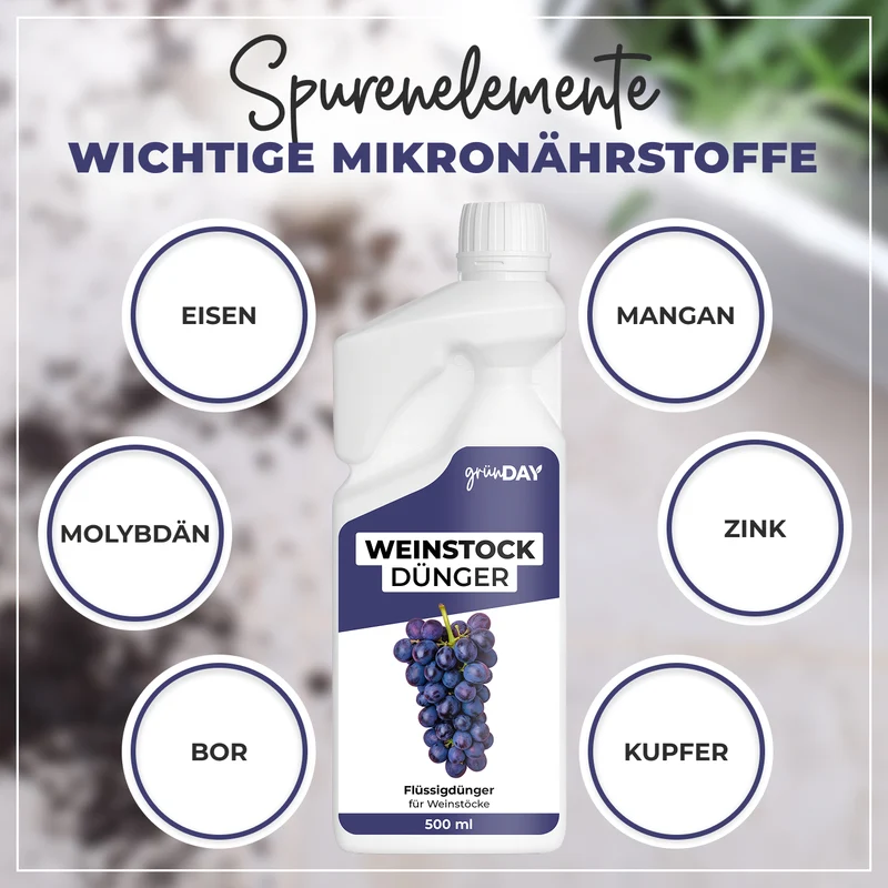 Weinstock-Flüssigdünger 500 ml