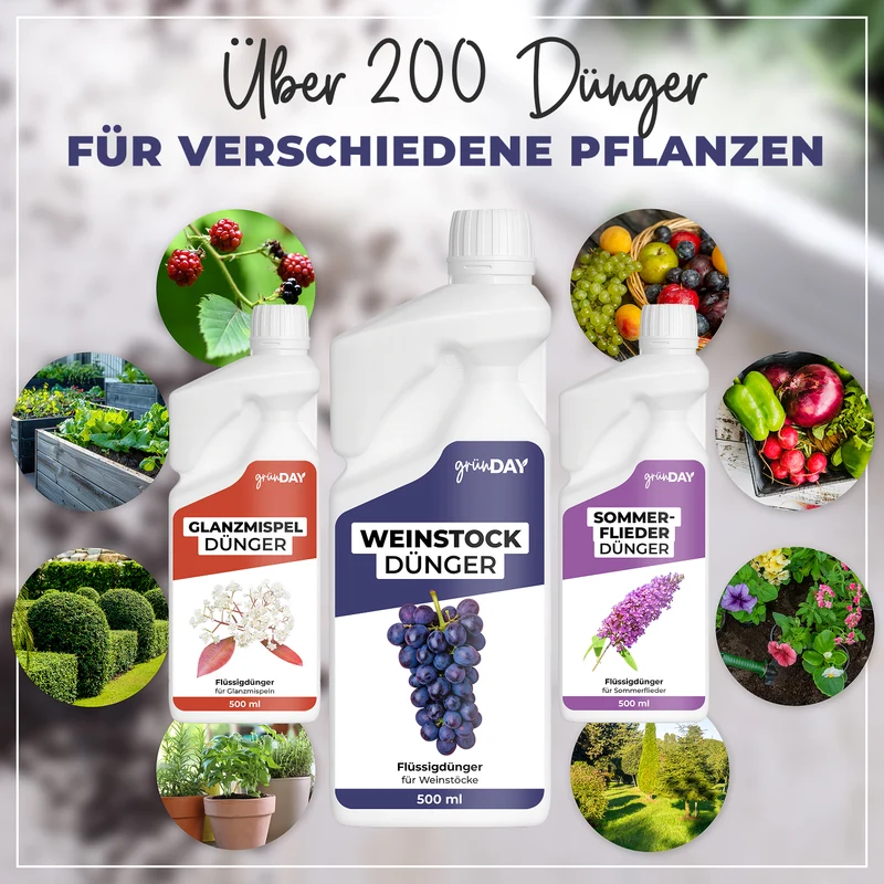 Weinstock-Flüssigdünger 500 ml
