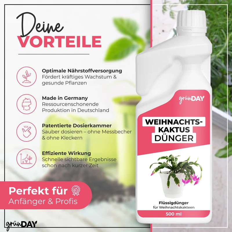 Weihnachtskaktus-Flüssigdünger 500 ml