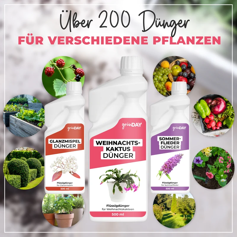 Weihnachtskaktus-Flüssigdünger 500 ml