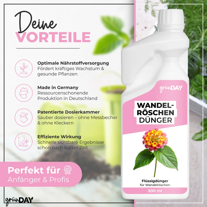 Wandelröschen-Flüssigdünger 500 ml