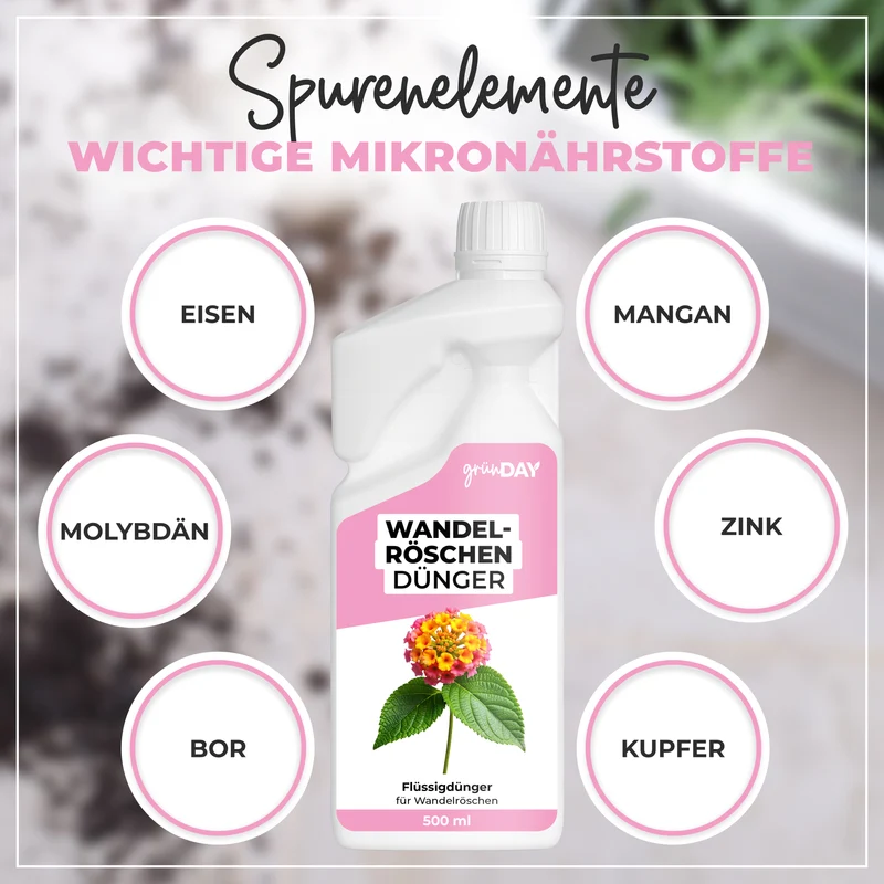 Wandelröschen-Flüssigdünger 500 ml
