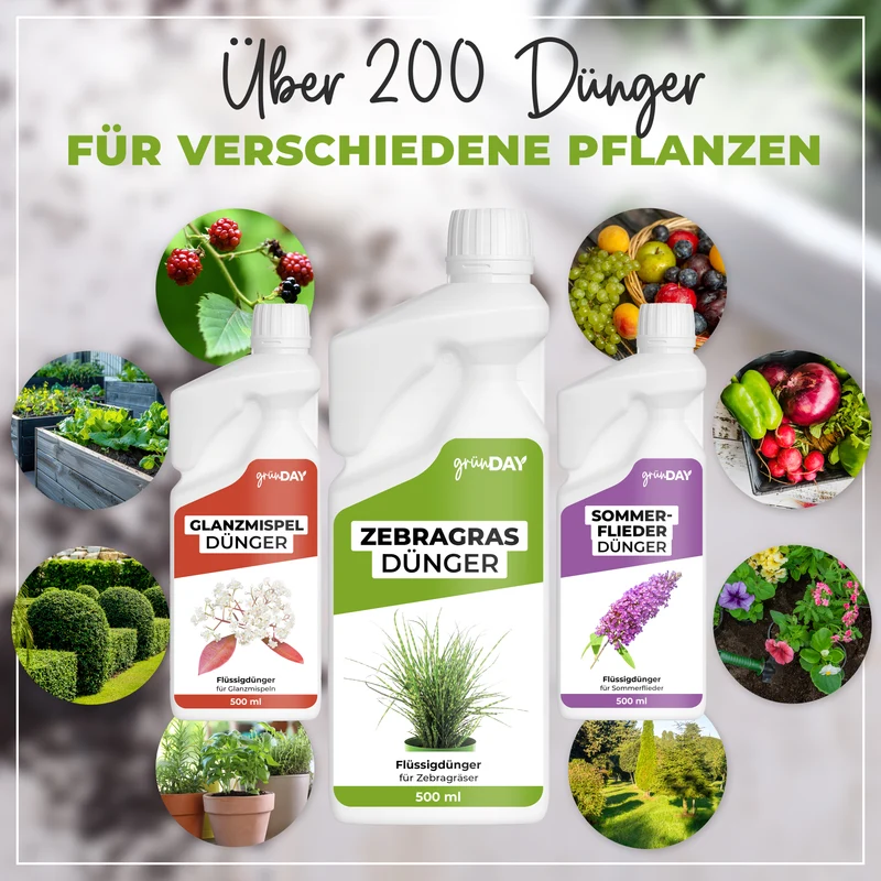 Zebragras-Flüssigdünger 500 ml