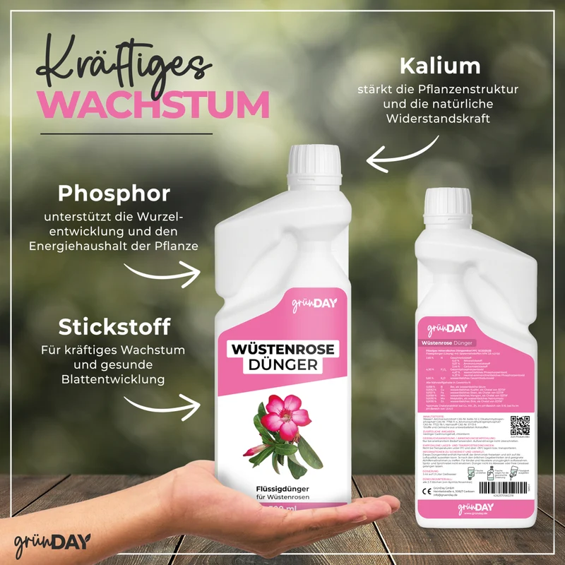Wüstenrose-Flüssigdünger 500 ml