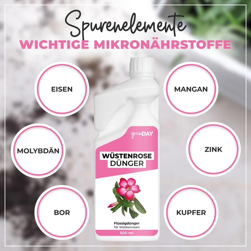 Wüstenrose-Flüssigdünger 500 ml
