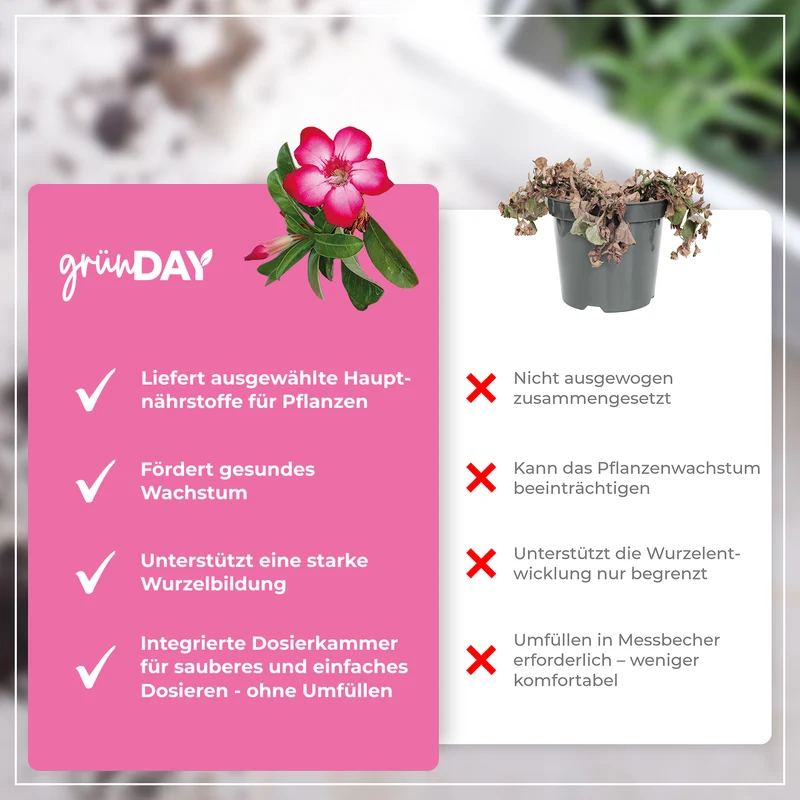 Wüstenrose-Flüssigdünger 500 ml