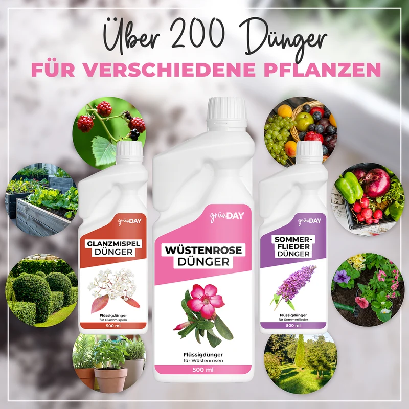 Wüstenrose-Flüssigdünger 500 ml