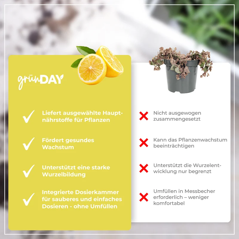 Zitronenbaum-Flüssigdünger 500 ml