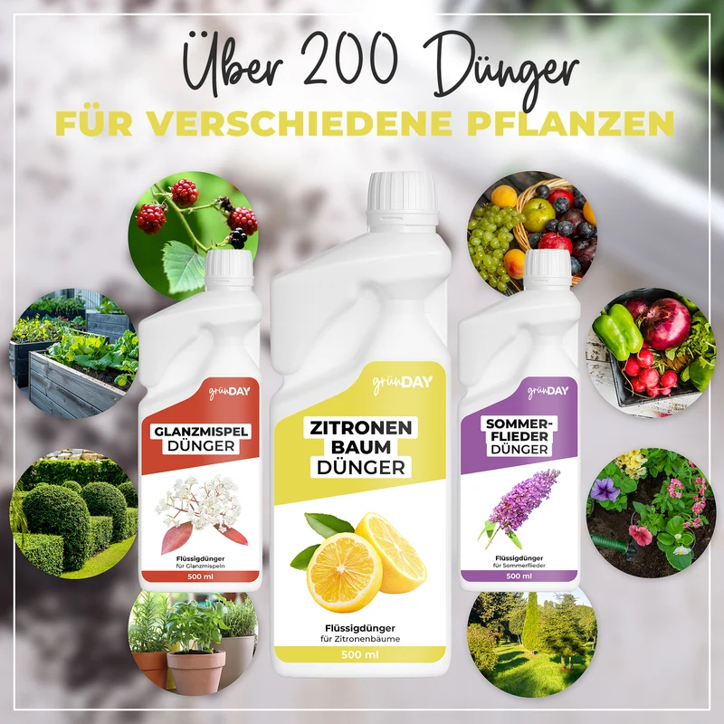 Zitronenbaum-Flüssigdünger 500 ml