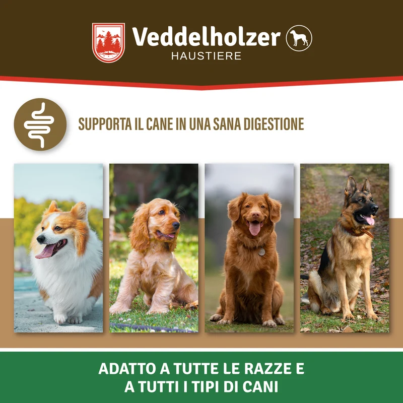 Snack Probiotici per Cani – Flora Intestinale & Digestione