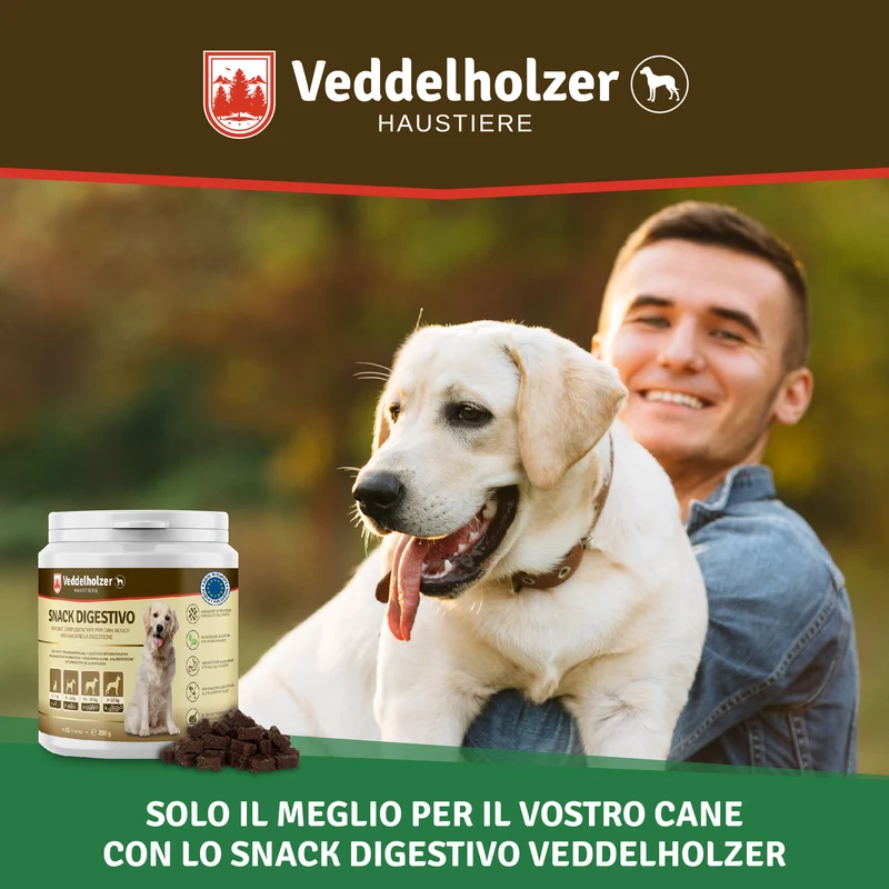 Snack Probiotici per Cani – Flora Intestinale & Digestione