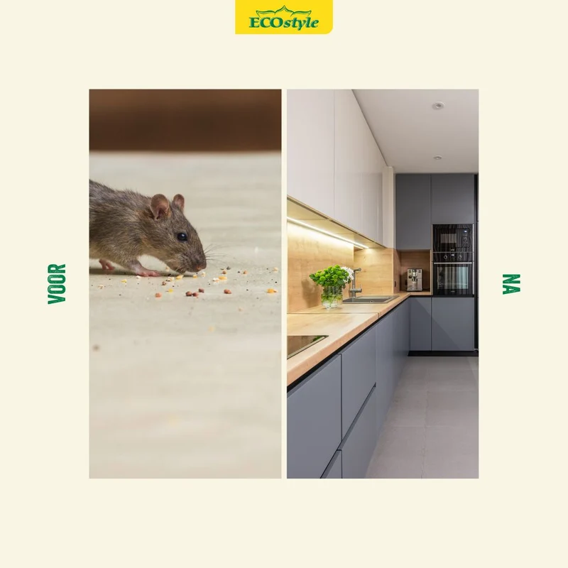 Mouse & Rat Stop Staalgaas