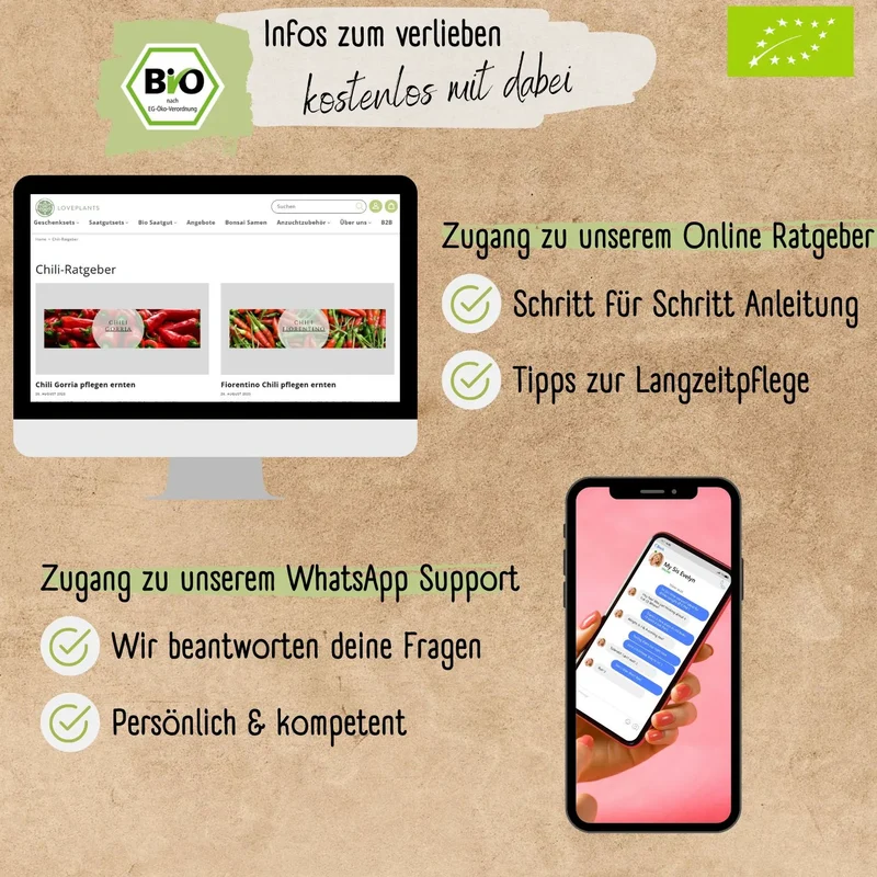 Bio Lila Luzi Samen