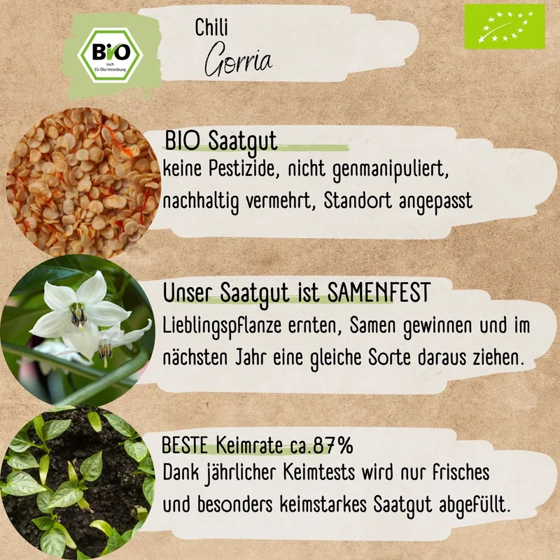Bio Gorria Samen