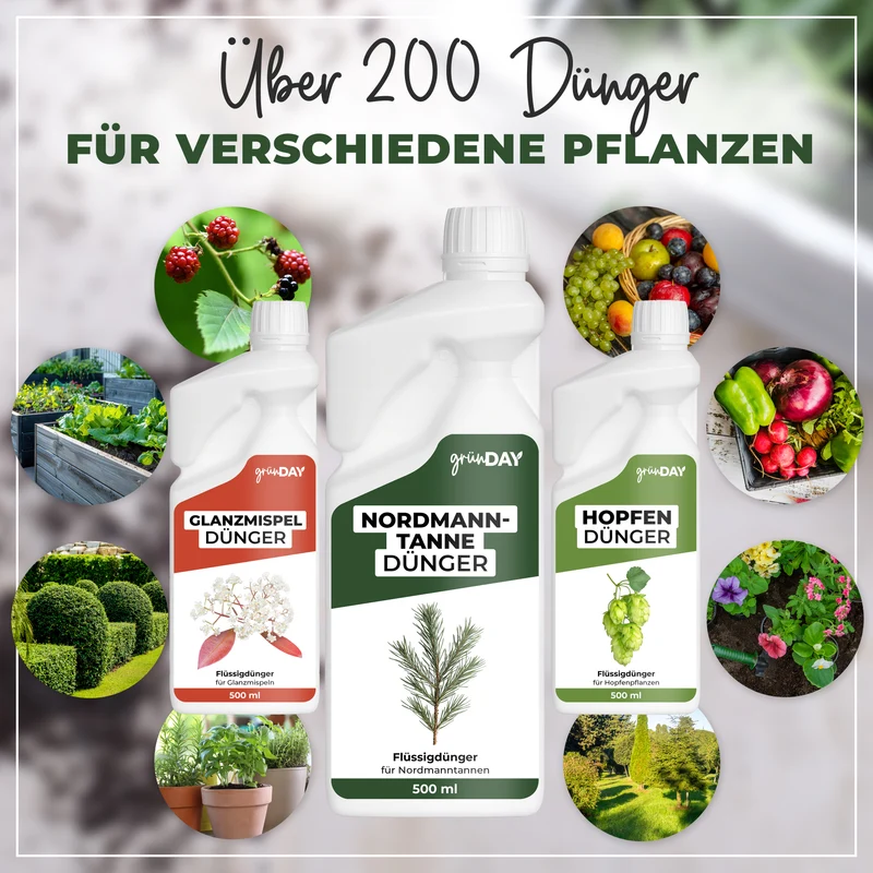 Nordmanntanne-Flüssigdünger 500 ml