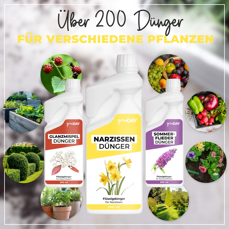 Narzissen-Flüssigdünger 500 ml