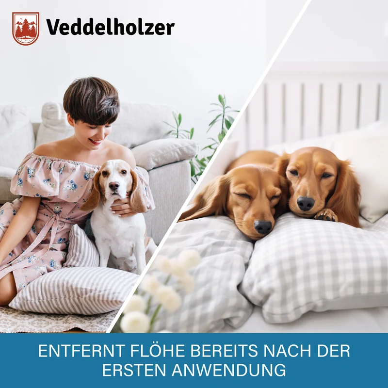 Flohspray für Wohnung & Möbel 500ml – ohne aggressive Chemie