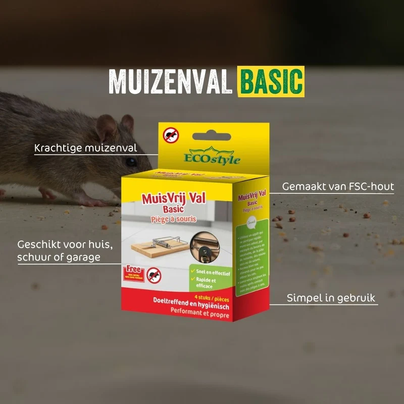 Muizenval Basic 4-pack