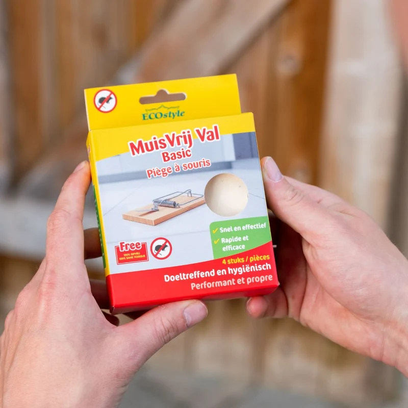 Muizenval Basic 4-pack