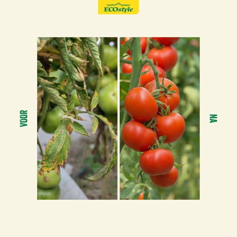 Plant Booster Moestuin