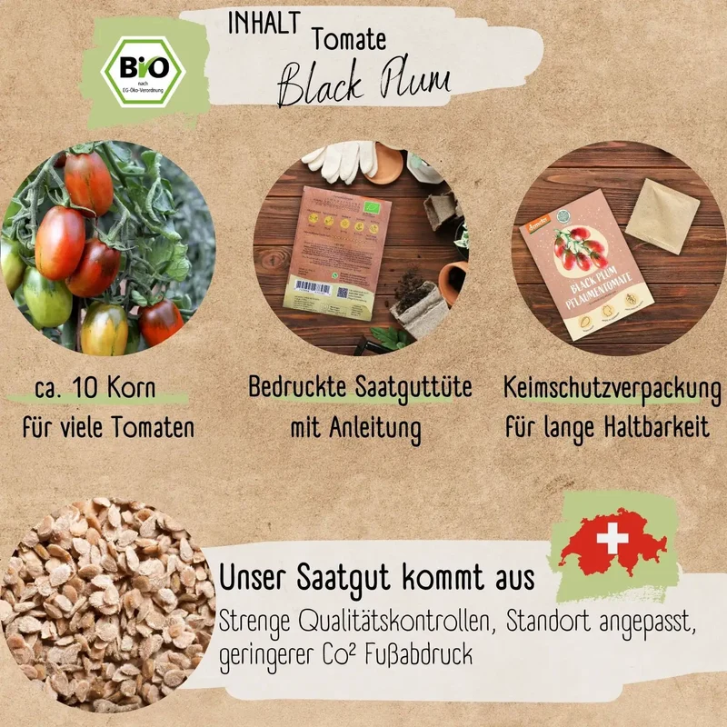 Bio Black Plum Tomaten Samen