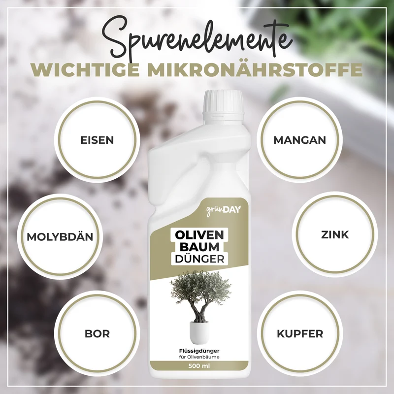 Olivenbaum-Flüssigdünger 500 ml