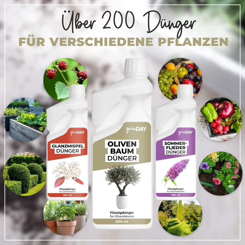 Olivenbaum-Flüssigdünger 500 ml