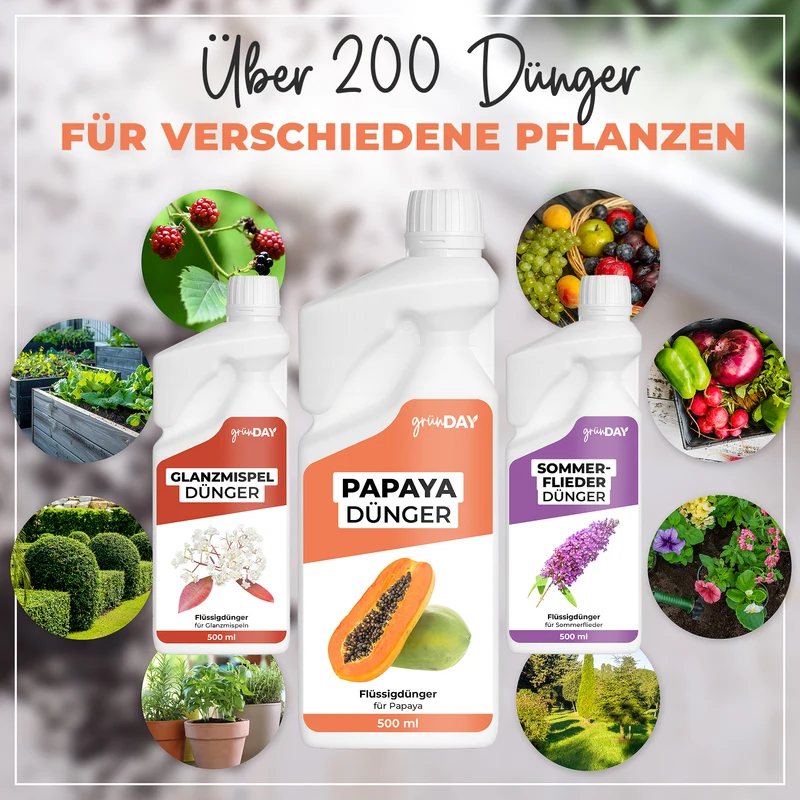 Papaya-Flüssigdünger 500 ml