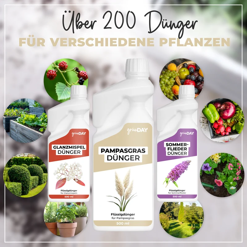 Pampasgras-Flüssigdünger 500 ml
