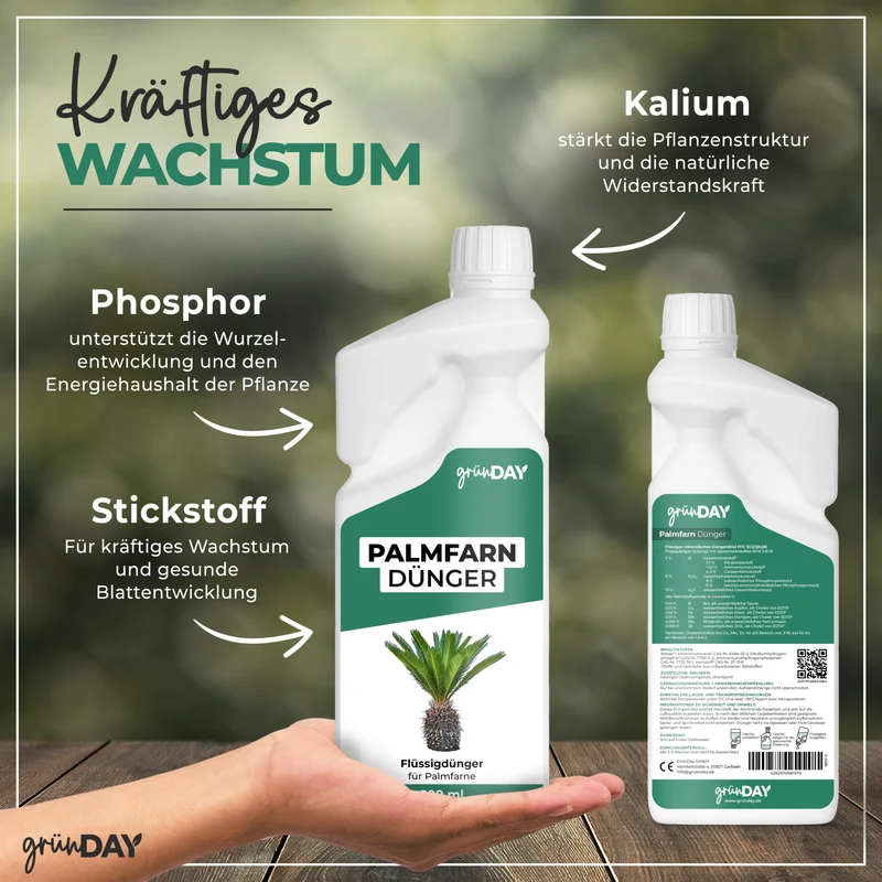 Palmfarn-Flüssigdünger 500 ml