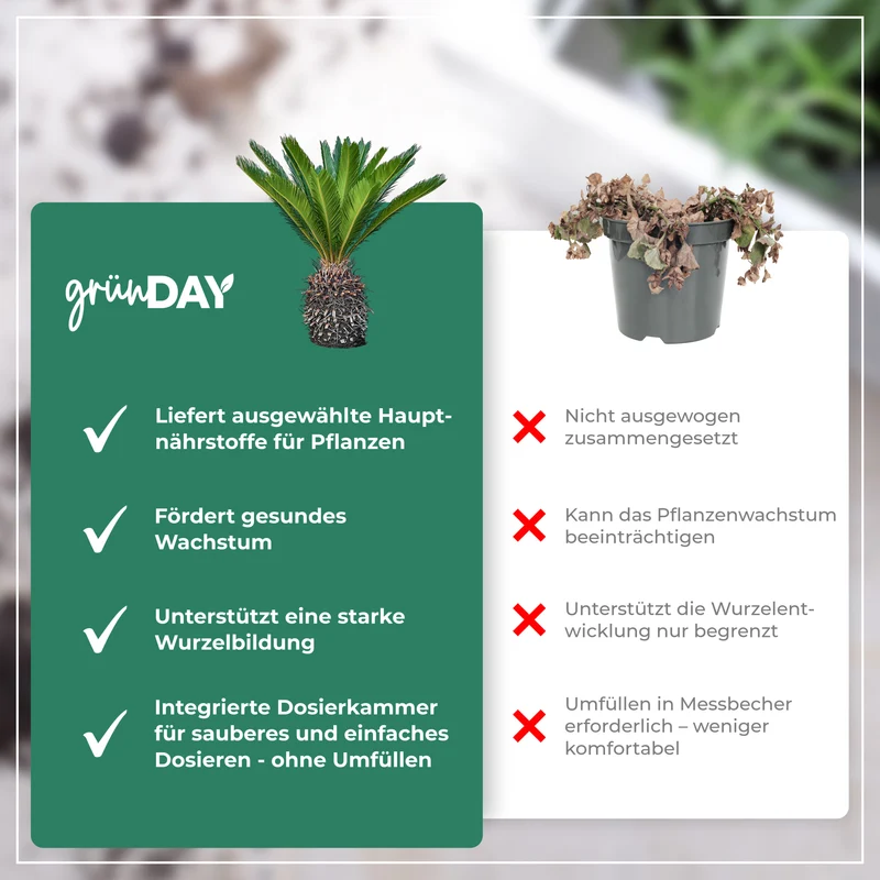 Palmfarn-Flüssigdünger 500 ml